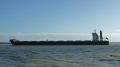 King Robert - estuaire Loire - 22 novembre 2012 (04).JPG
